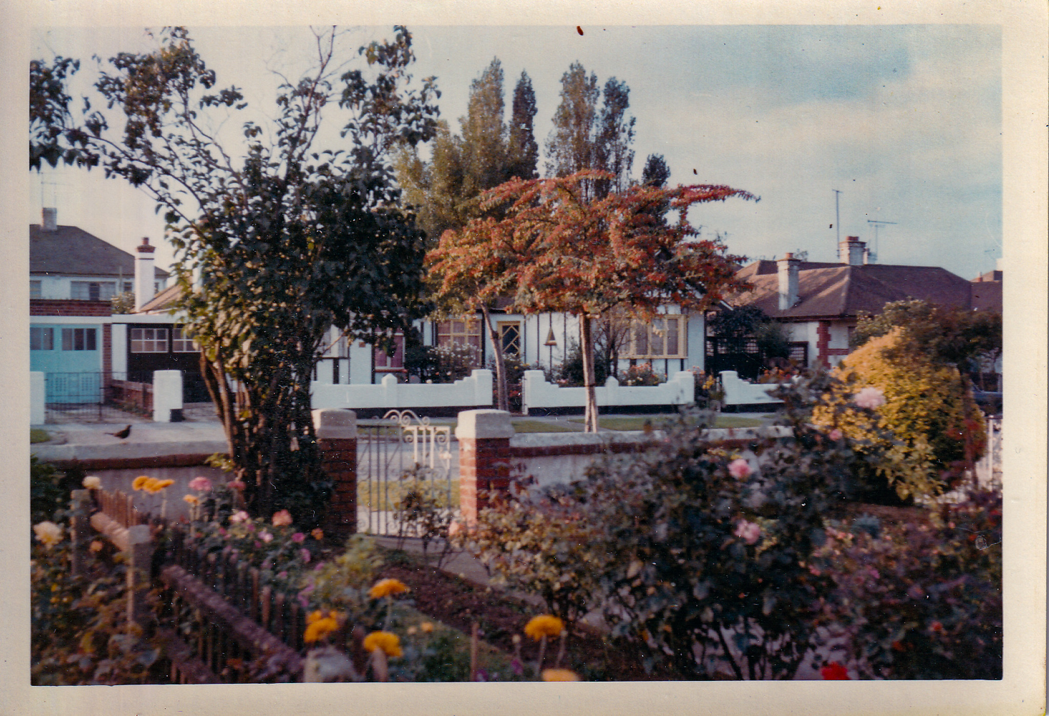 View out front